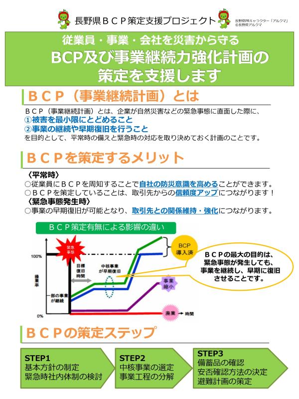 BCP1-1