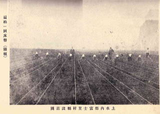 県営苗畑の写真