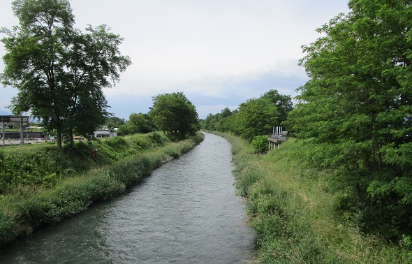 除草前（市道白金橋上流）