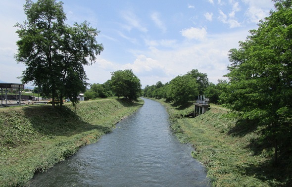 除草後（市道白金橋上流）