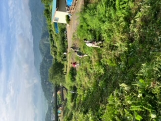 2025夏_荏沢川草刈り1