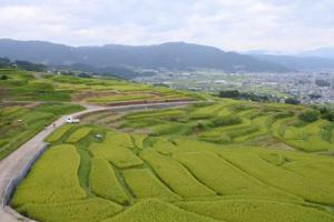 棚田