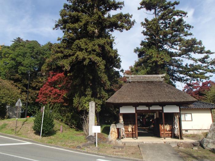 智識寺