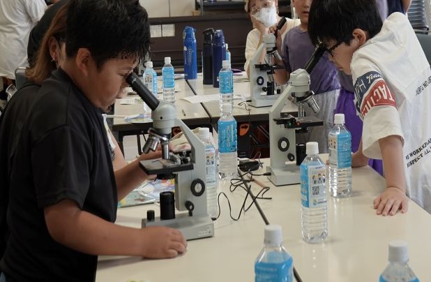 微生物観察