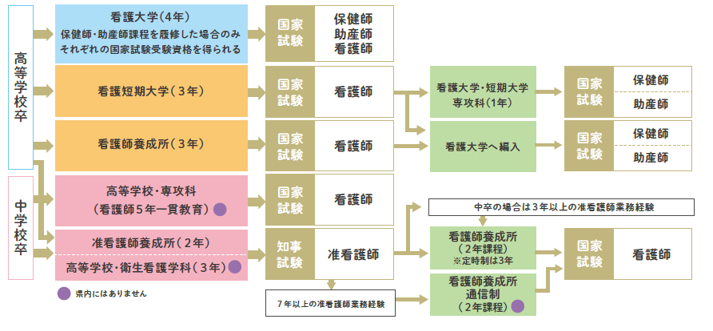 看護職になるために必要な卒業後の進路をチャートで表記。