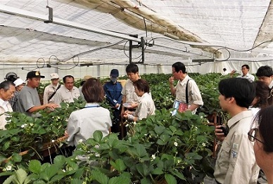 農林現調南信中信1