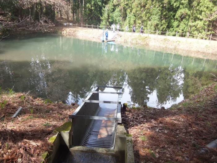 pond2