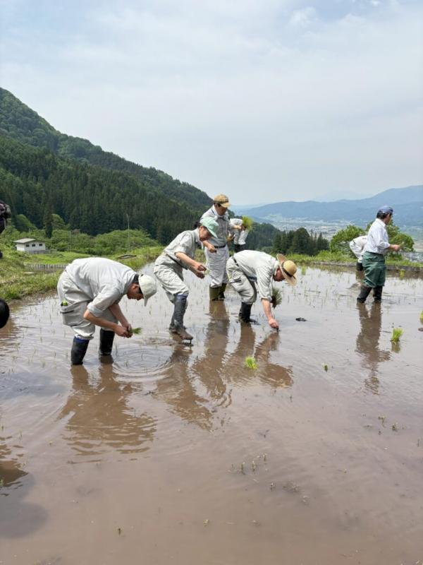 福島棚田_田植え体験会