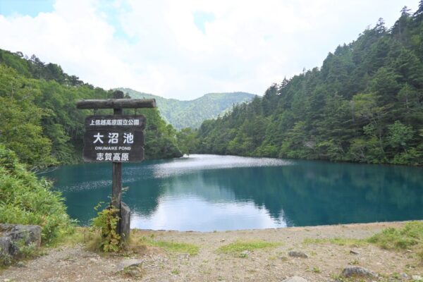 ブログより大沼池の写真