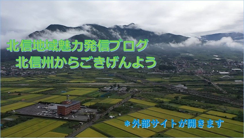 加工済_北信合同庁舎_夏_202504