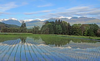 田園風景