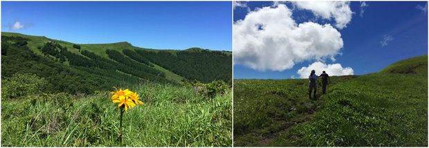 夏の美ヶ原高原