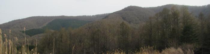 山林の写真