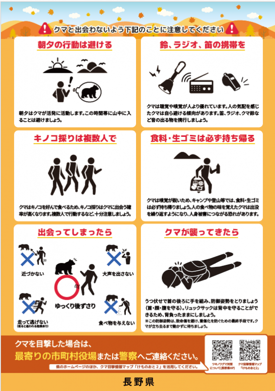 秋チラシ裏
