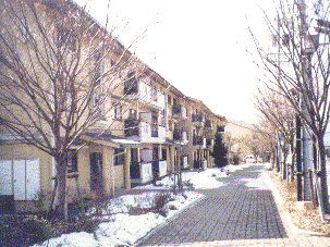 団地全景図