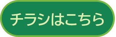 チラシ案内