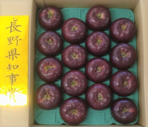 長野県知事賞の「秋映」