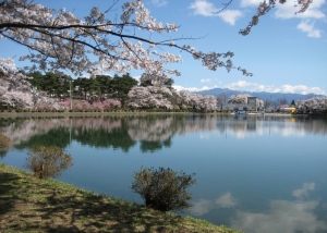 写真：千人塚城ヶ池（飯島町）