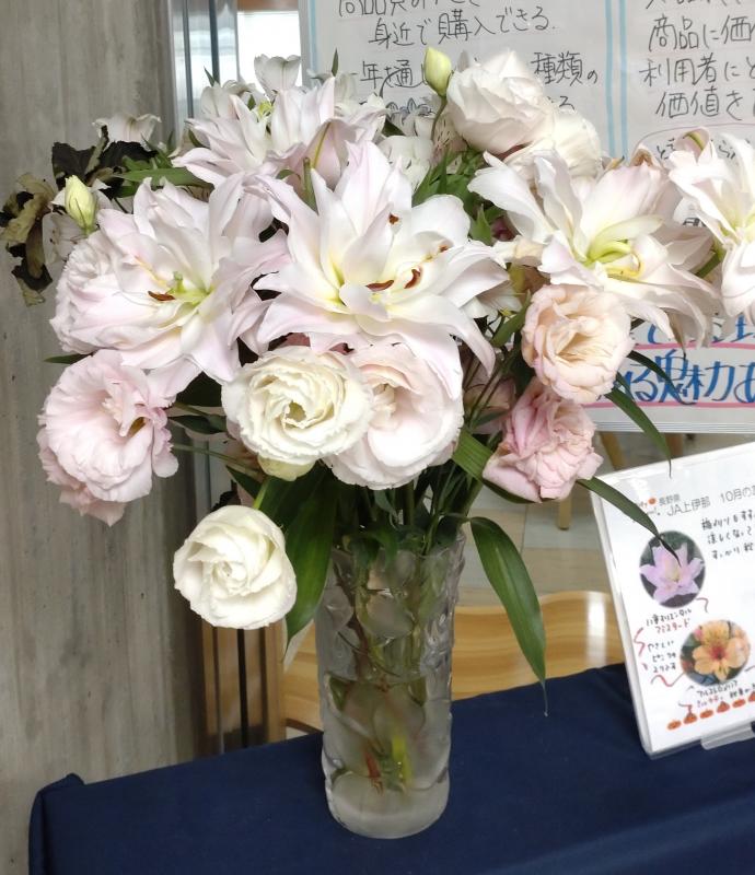 20251007arusutoromeria2