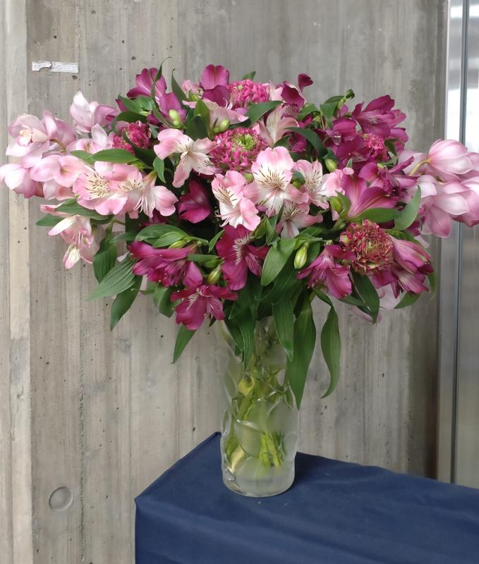 20260203arusutoromeria