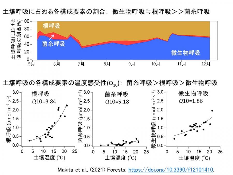 soil_respiration