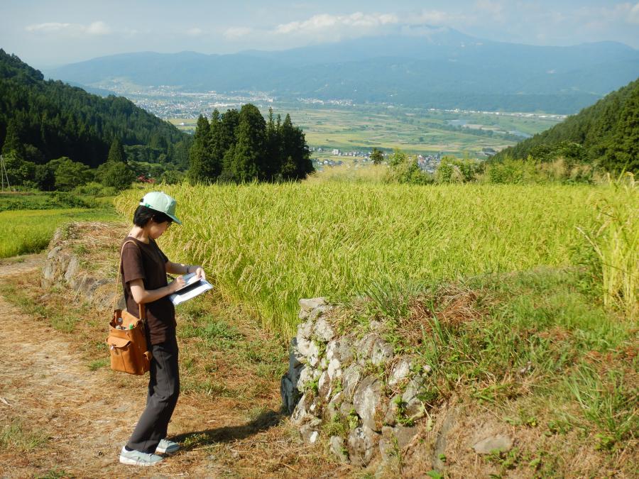 石積み棚田調査2025年（令和7年）9月4日