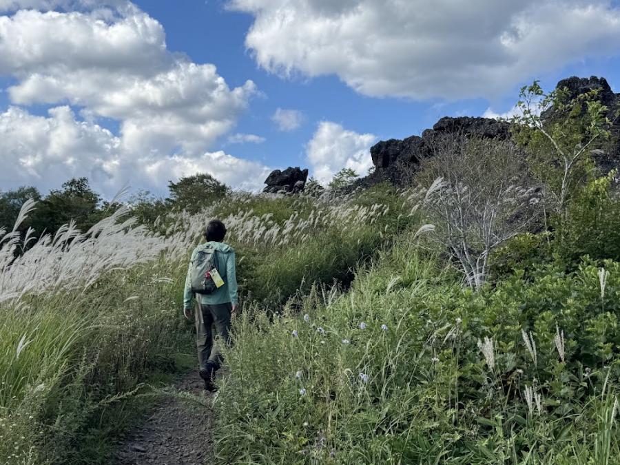 マルハナバチ調査1