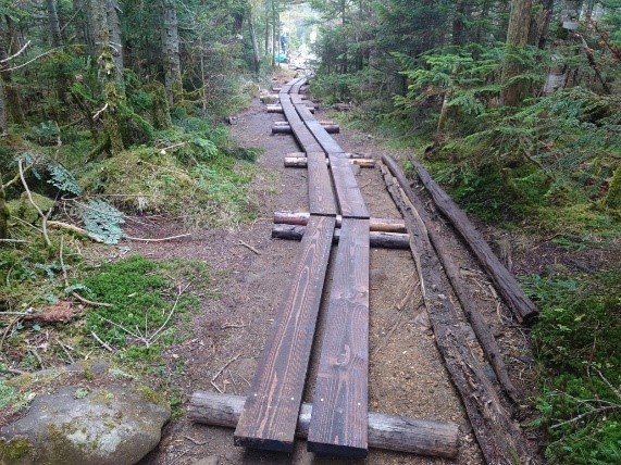 整備後登山道画像