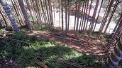 みんなで支える里山整備事業実施個所
