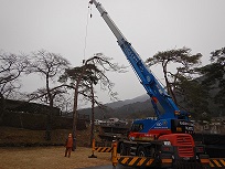 松くい虫被害木特殊伐採実施状況
