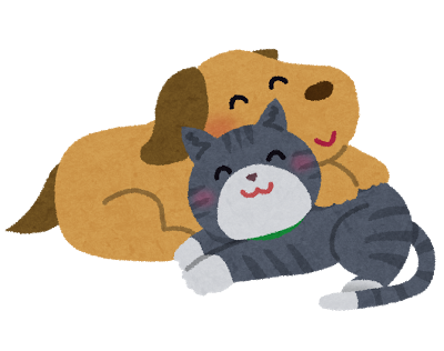 dogandcat