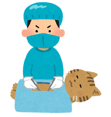 nekosyujyutu