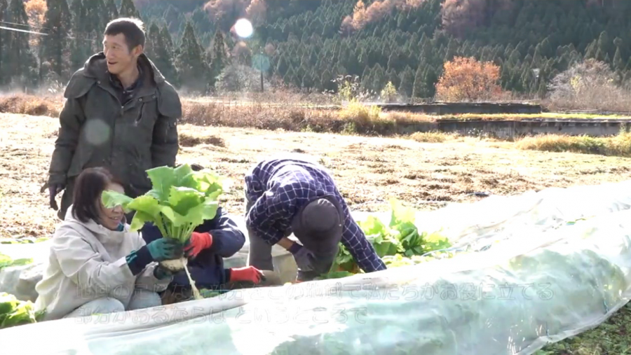 長野県広報番組「信州のチカラ」vol.108　未来を耕す「農福連携」のキャプションで、農作業をしている障がいのある方