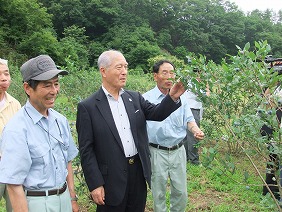 写真：植栽したブルーベリーの説明を受ける村井知事