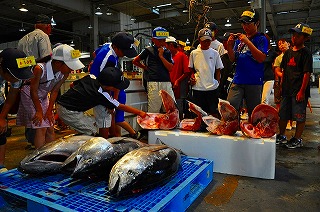 写真：水産卸売市場の見学
