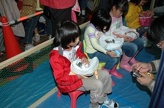 写真：うさぎやモルモットとふれあう子どもたち