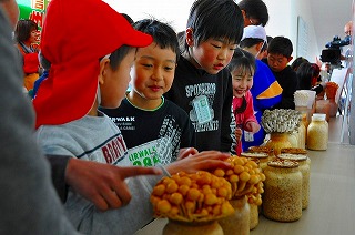 写真：きのこの展示コーナーの様子