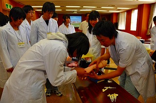 写真：点滴の体験の様子