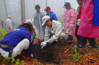 写真：植樹の様子