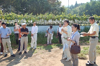 写真：見学会（八町きゅうり）の様子