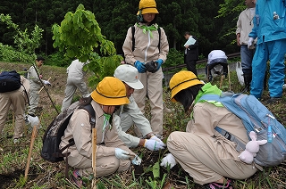 写真：植樹の様子