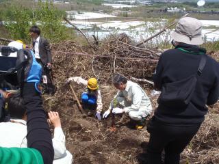 知事植樹の様子