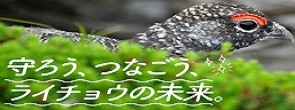 （別ウィンドウで外部サイトが開きます）