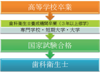 図：高等学校卒業から歯科衛生士になるまで