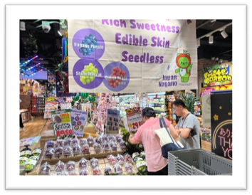 0914sin_naganofair_03
