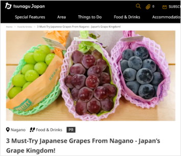0914sin_naganofair_media