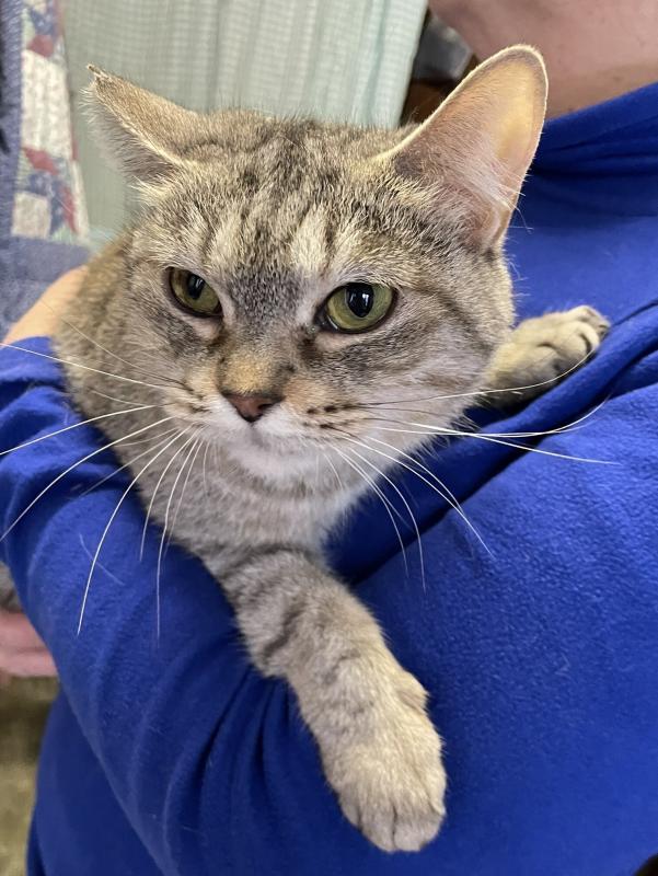 cleaned285_sakura0303g