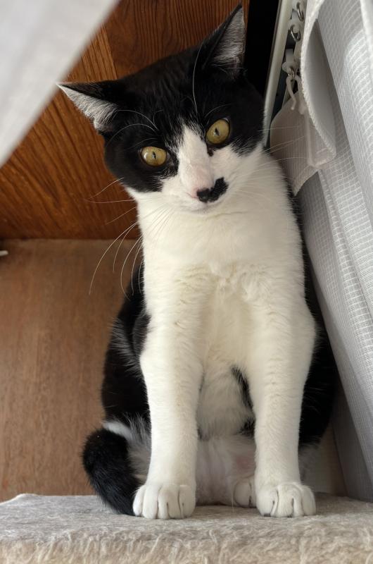  cleaned365_gacchan1217b