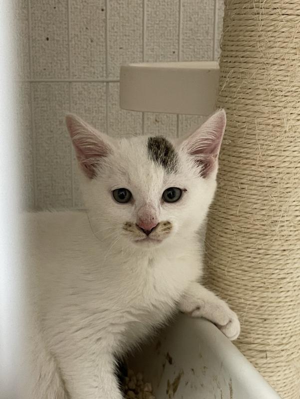  cleaned397_marco0930d