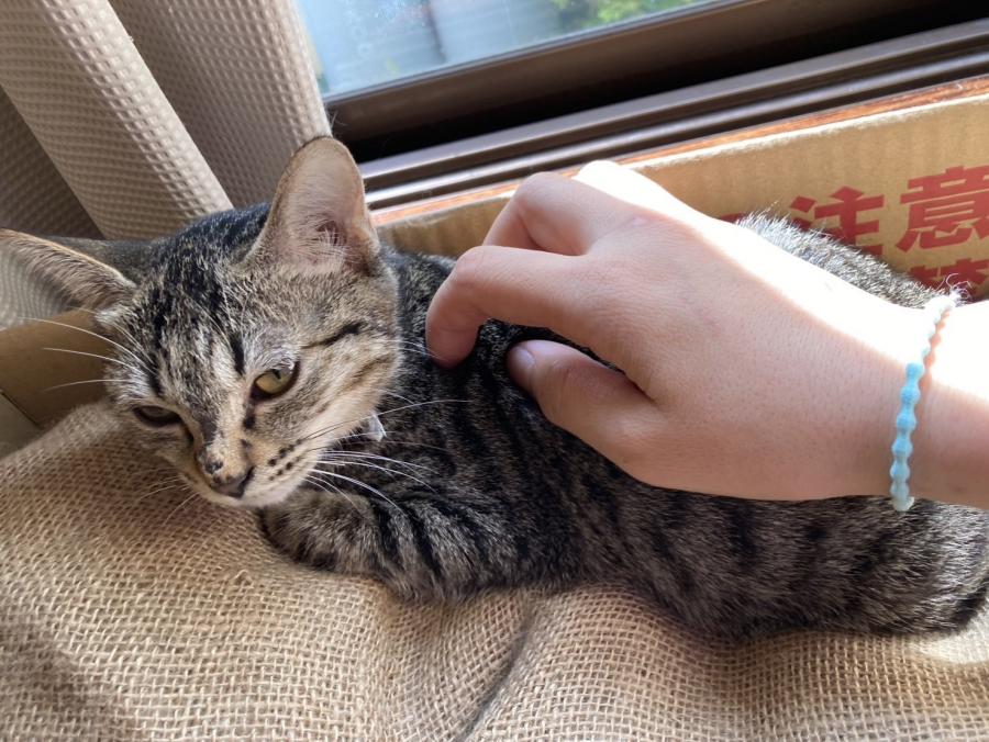 cleaned399_anya1001c